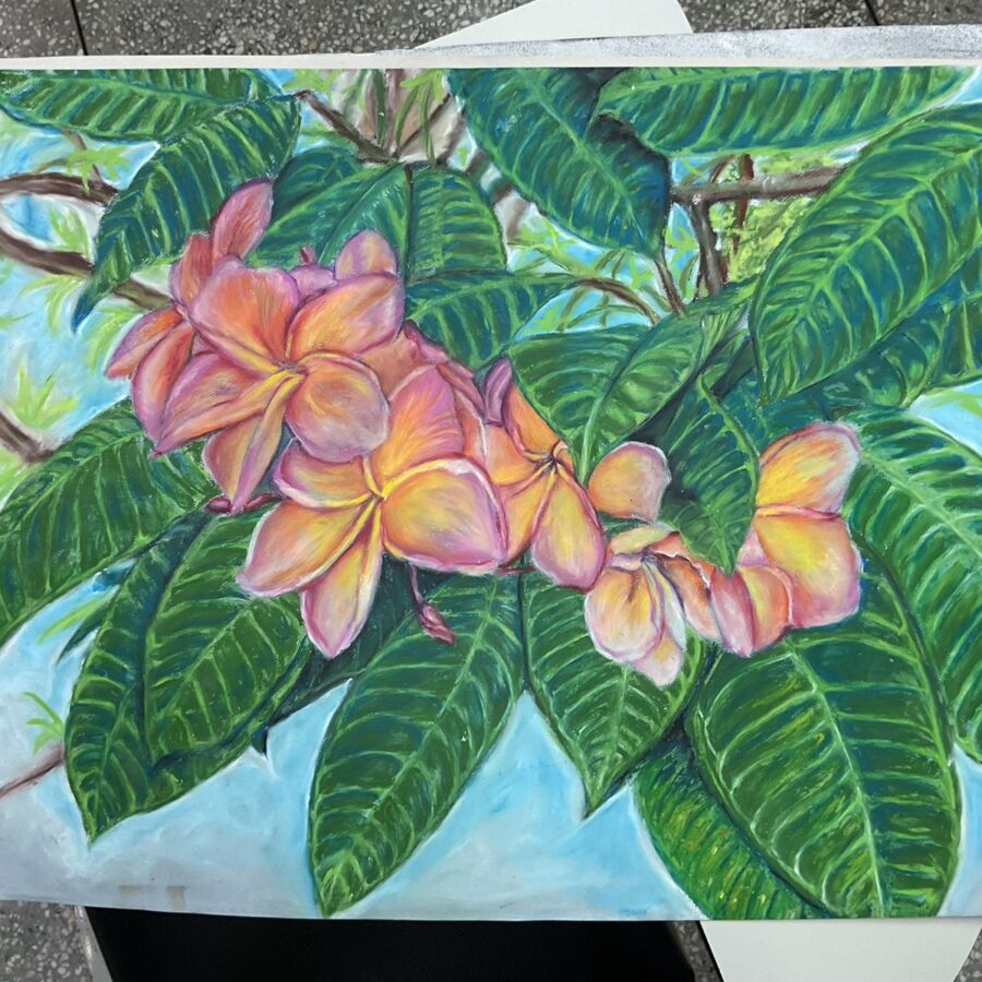 Plumeria in bloom